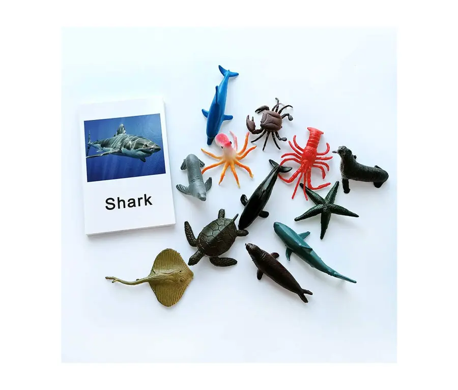 Montessori Animal Match Game Cards Marine Animal